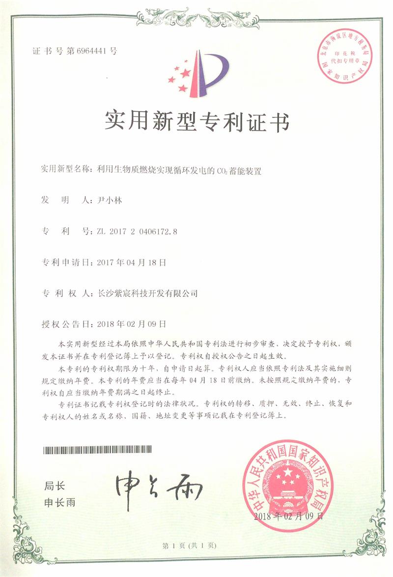 3.1-ZL201720406172.8-利用(yòng)生(shēng)物(wù)質燃燒實現(xiàn)循環發電(diàn)的(de)CO2蓄能(néng)裝置(1)